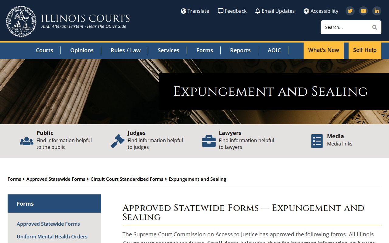 Illinois statewide expungement and sealing form suite